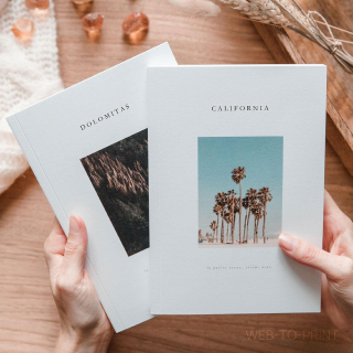 Zine Book (Зинбук) табличная