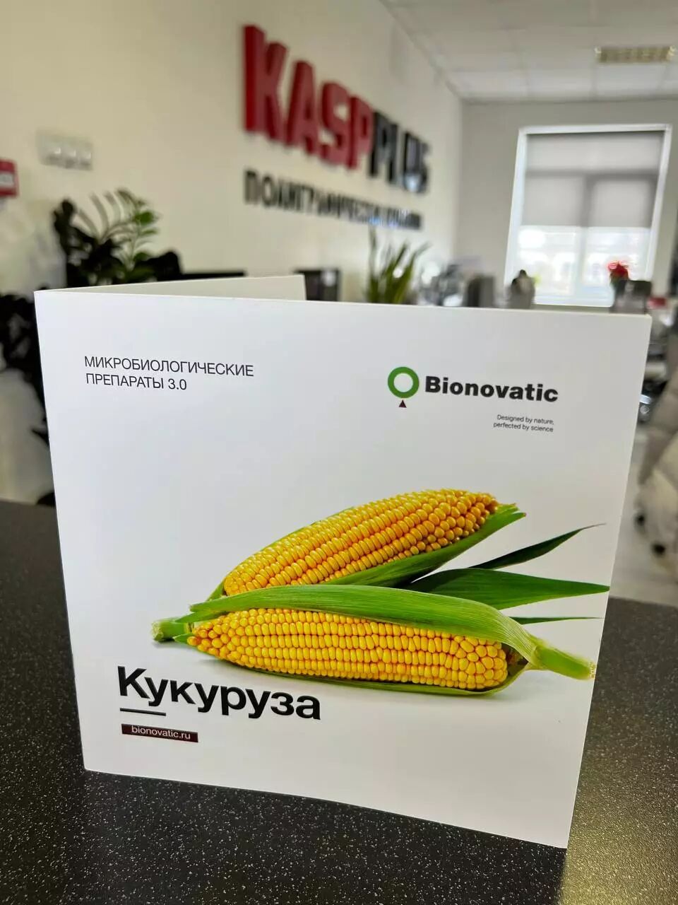 Буклеты Книжка