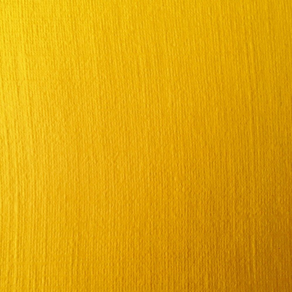 Цвет золотое дерево. Желтая древесина. Желтое дерево материал. Желтая фанеру. Желтый пластик.