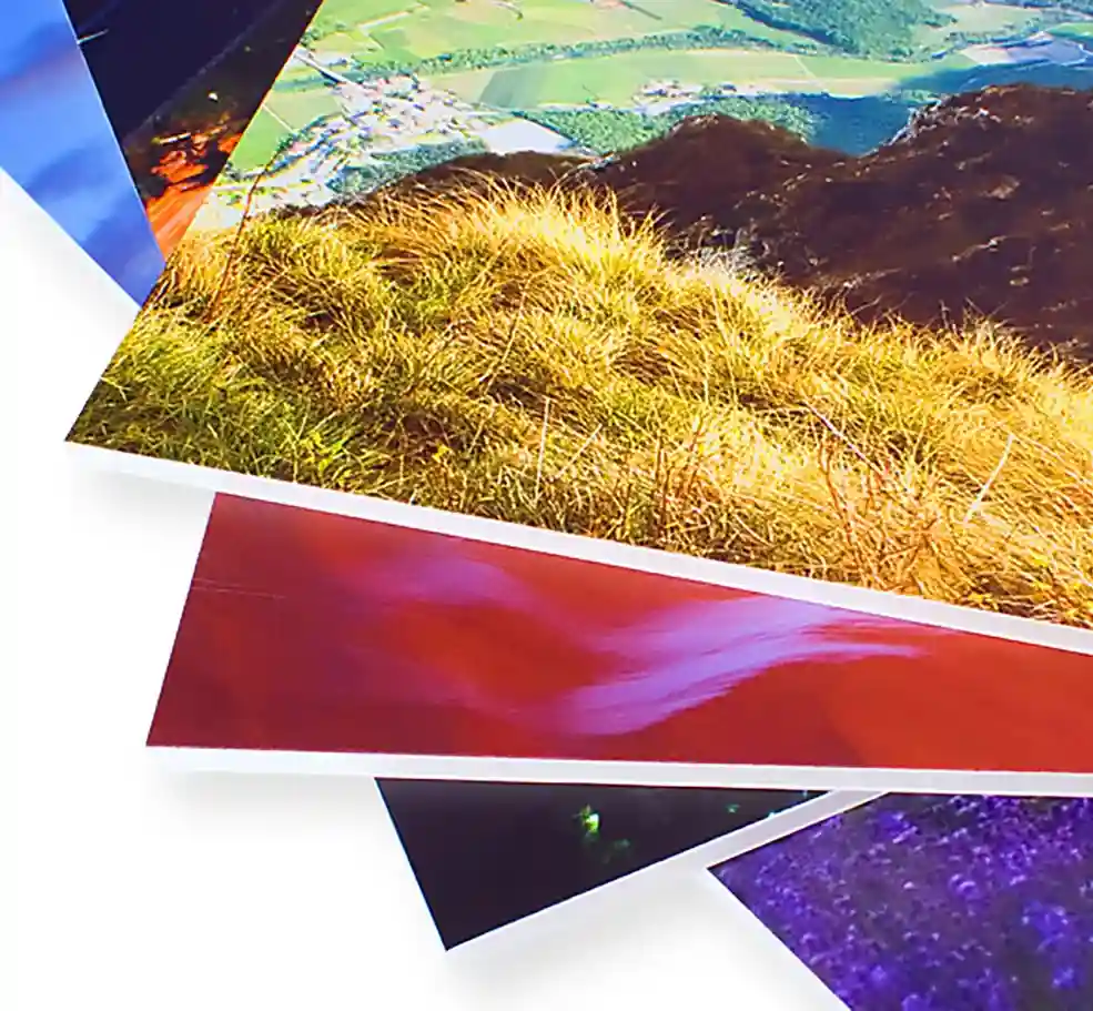 Цветной лист пенокартона