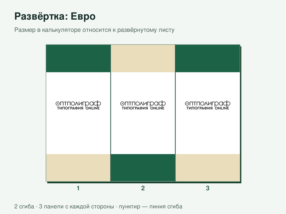 Буклет «Евро» офсетный — развёртка листа