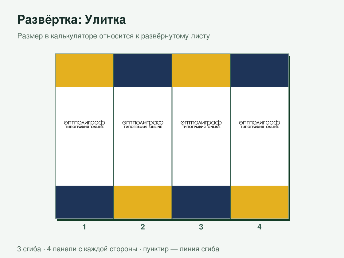 Буклет «Улитка» малым тиражом — развёртка листа