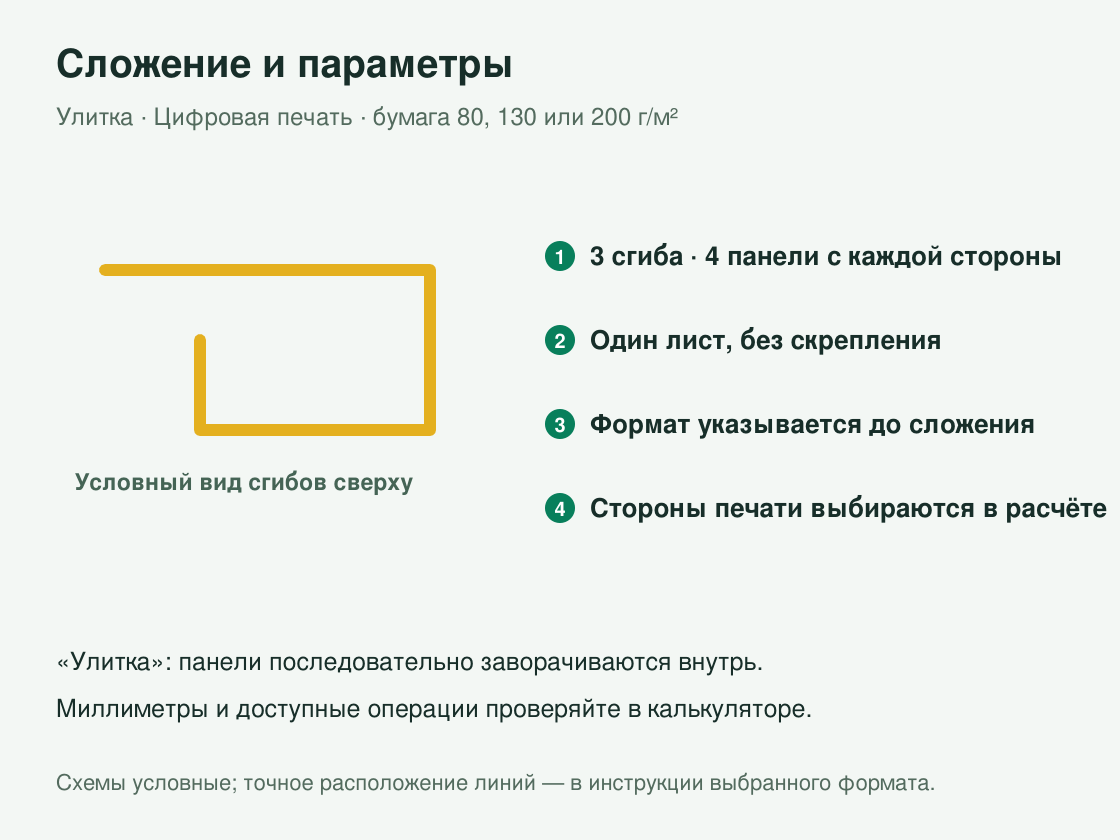 Буклет «Улитка» малым тиражом — сложение и параметры