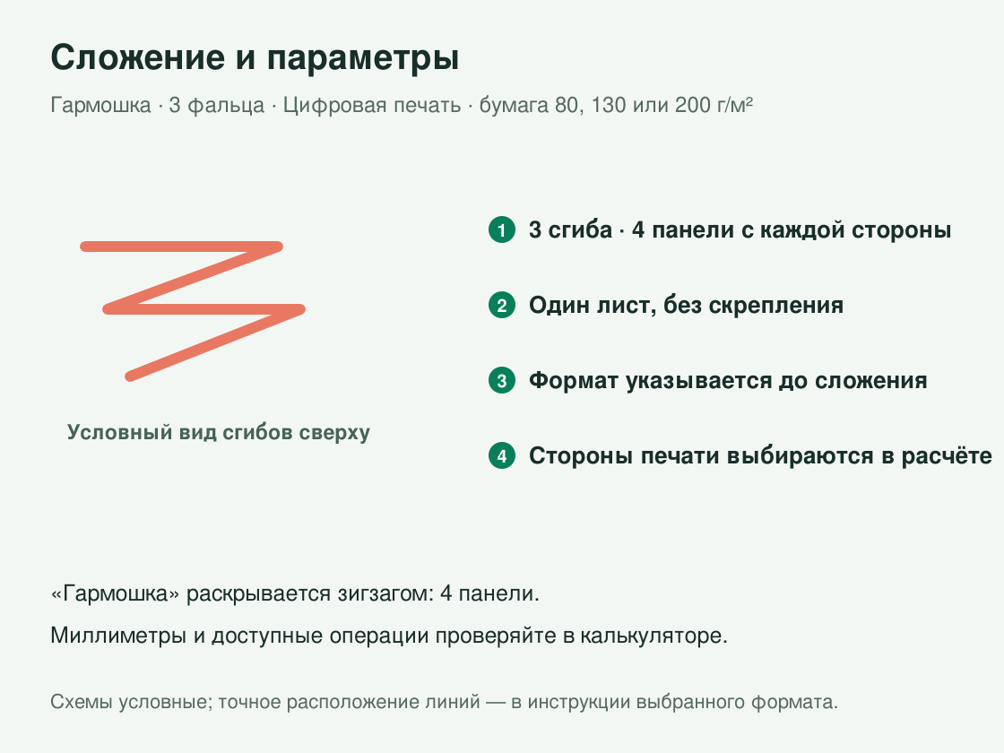 Буклет «Гармошка — 3 фальца» малым тиражом — сложение и параметры