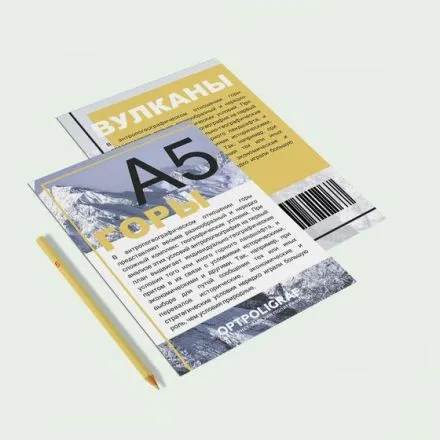 печать листовок в Нижнем Новгороде — онлайн-заказ за 2 минуты