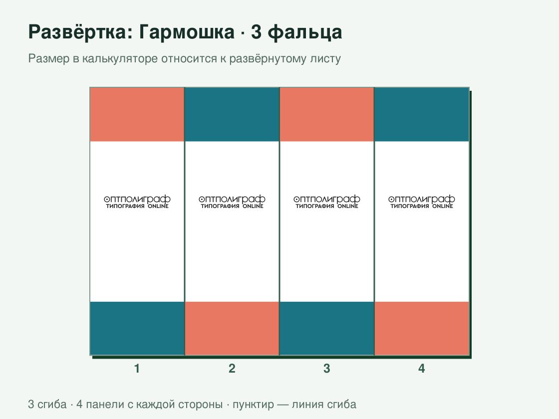Буклет «Гармошка — 3 фальца» малым тиражом — развёртка листа
