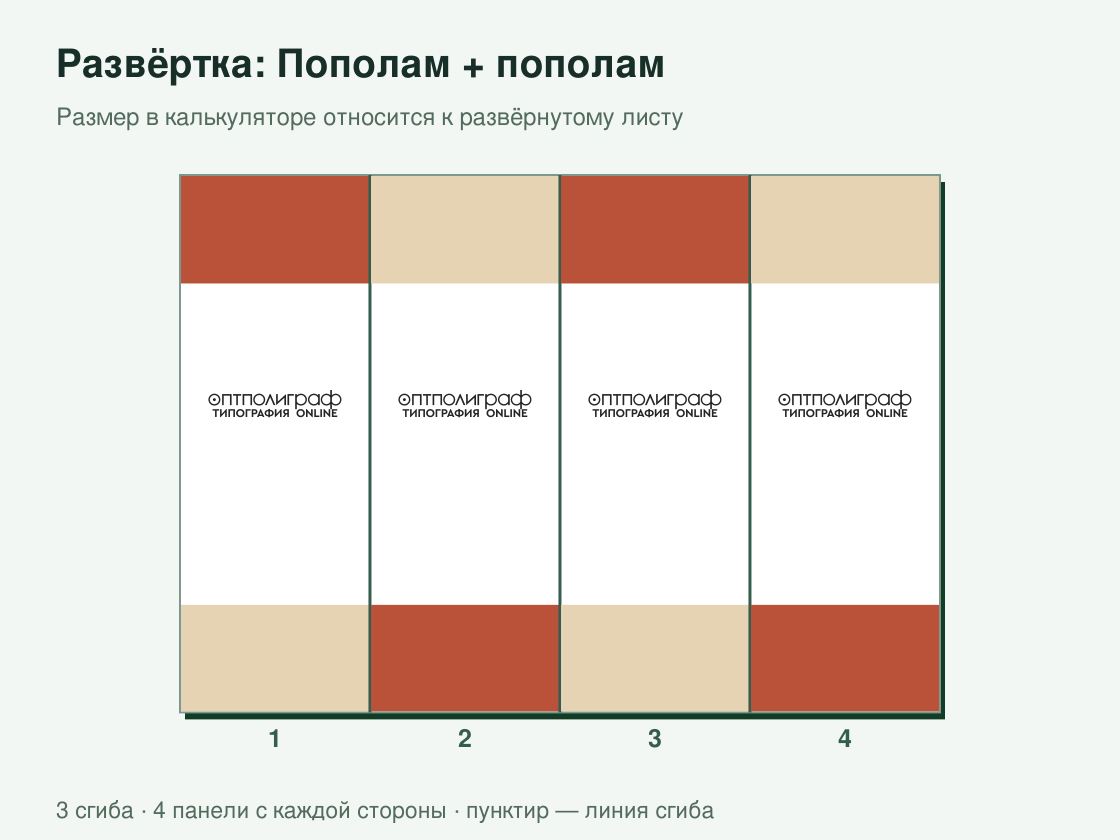 Буклет «Пополам + пополам» офсетный — развёртка листа