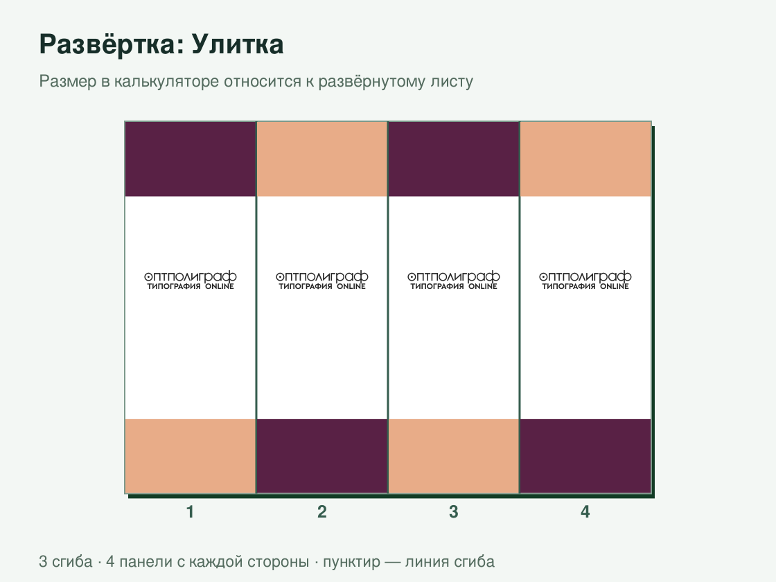 Буклет «Улитка» офсетный — развёртка листа