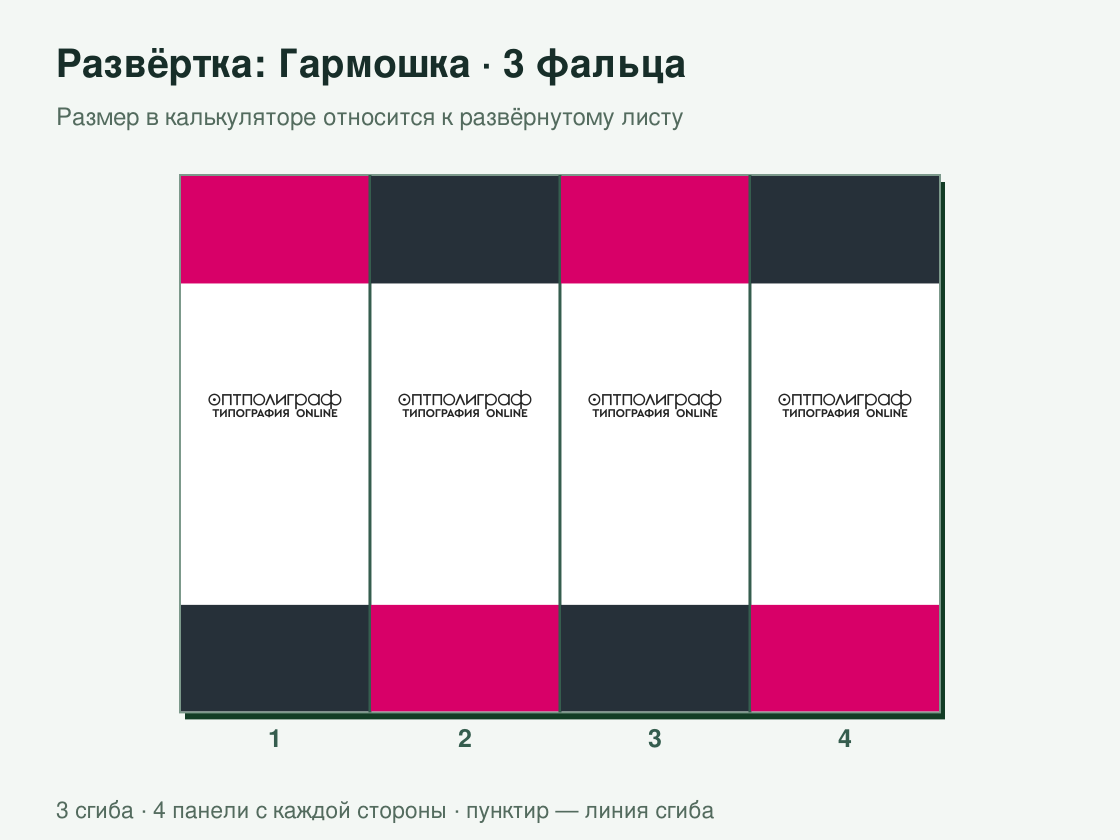 Буклет «Гармошка — 3 фальца» офсетный — развёртка листа
