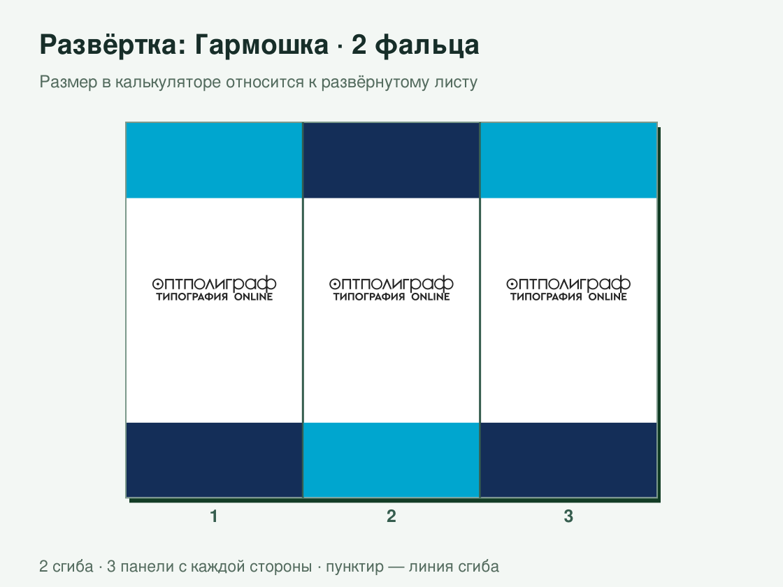 Буклет «Гармошка — 2 фальца» офсетный — развёртка листа