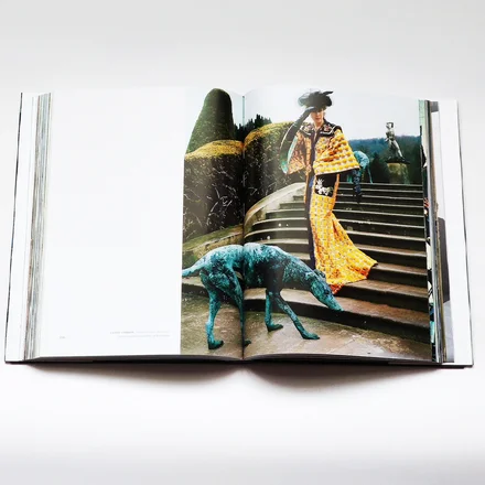 Vogue: Fantasy & Fashion