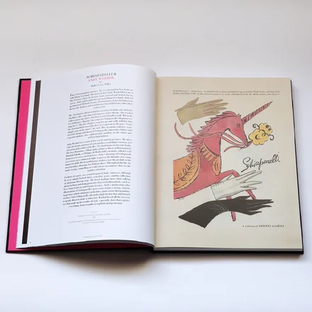 SCHIAPARELLI &amp; THE ARTISTS