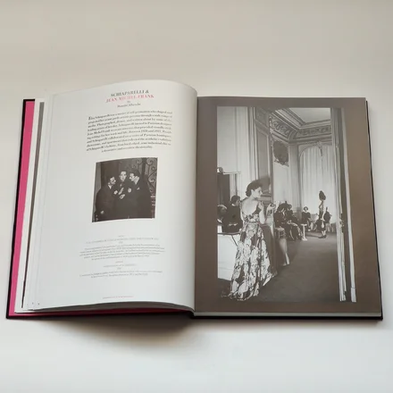 SCHIAPARELLI &amp; THE ARTISTS