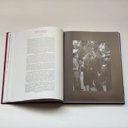 SCHIAPARELLI &amp; THE ARTISTS