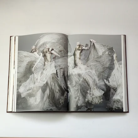 Alexander McQueen: Savage Beauty — Эндрю Болтон