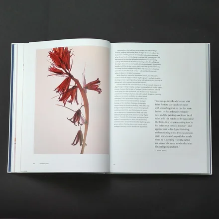 Fashion Image Revolution