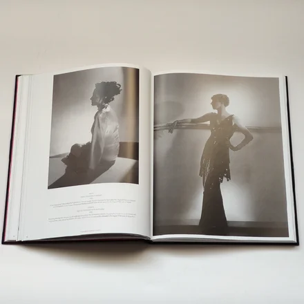 SCHIAPARELLI &amp; THE ARTISTS