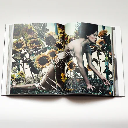 Vogue: Fantasy & Fashion