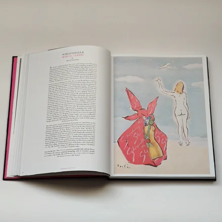 SCHIAPARELLI &amp; THE ARTISTS