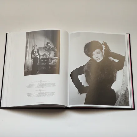 SCHIAPARELLI &amp; THE ARTISTS