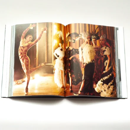 Vogue: Fantasy & Fashion