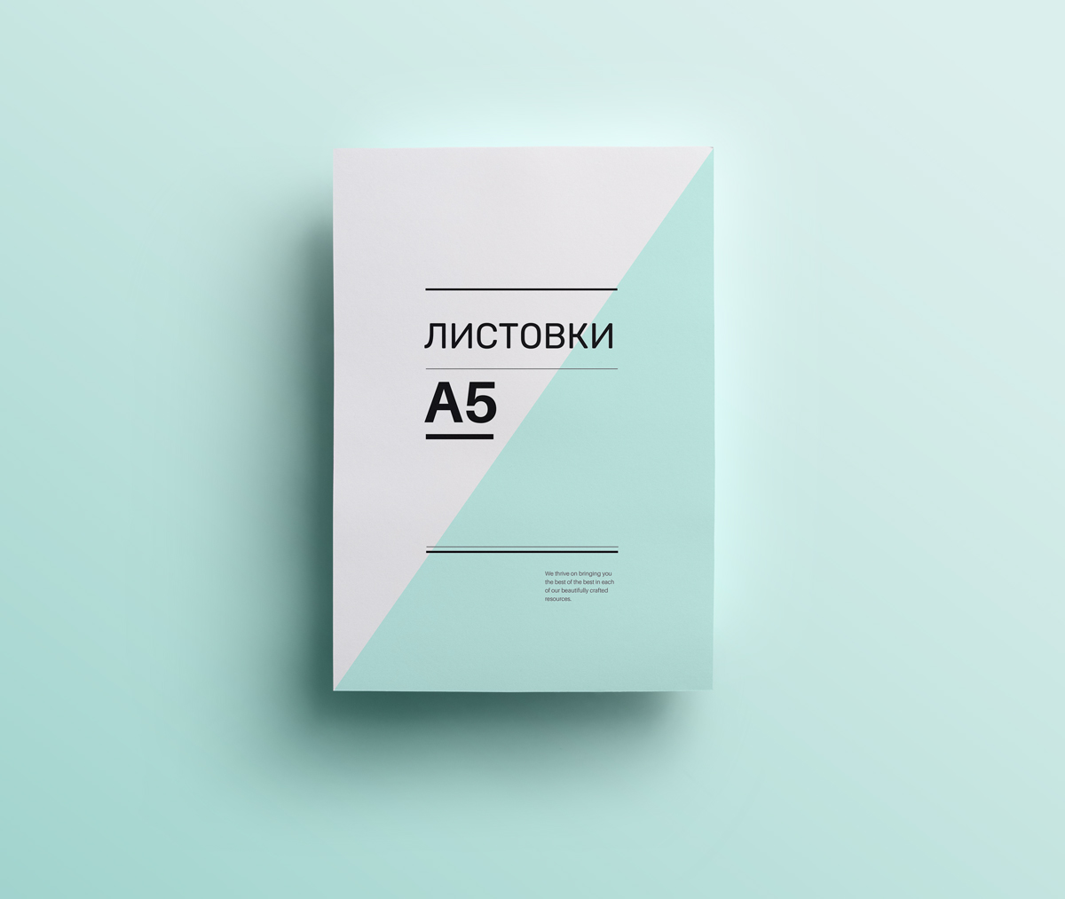 Листовка (А5)
