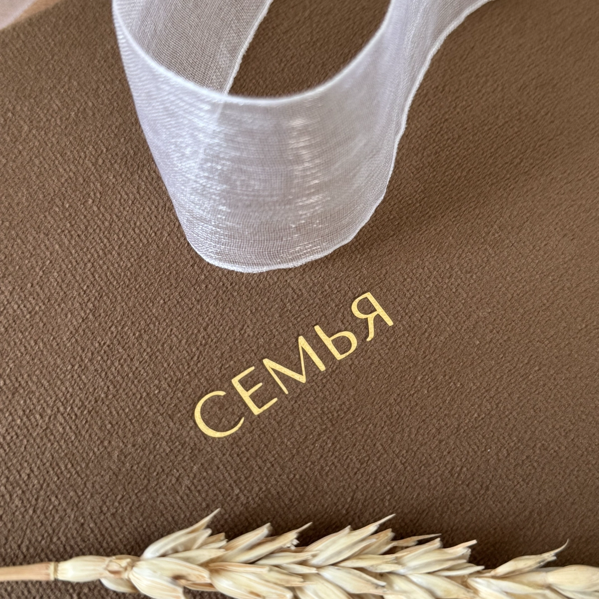 Семья Семья