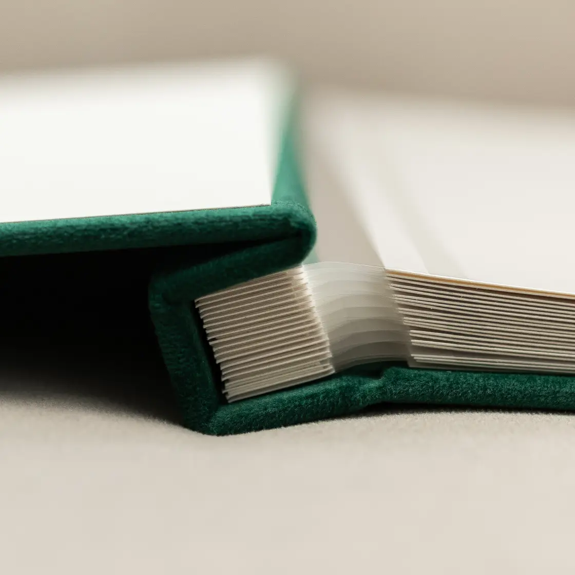 Магнитный с тиснением Магнитный с тиснением