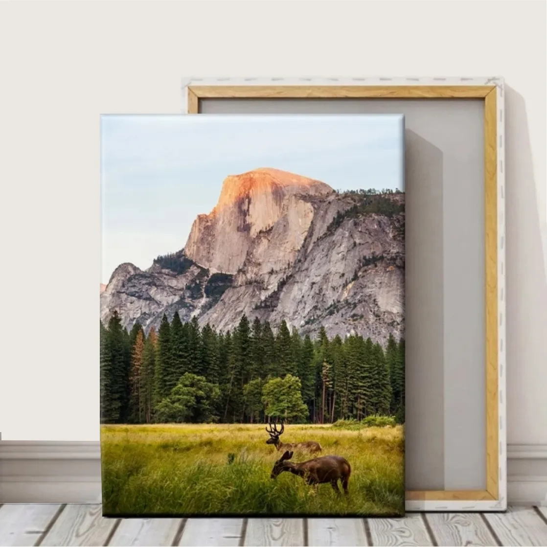 Заказать печать фотокартин на холсте