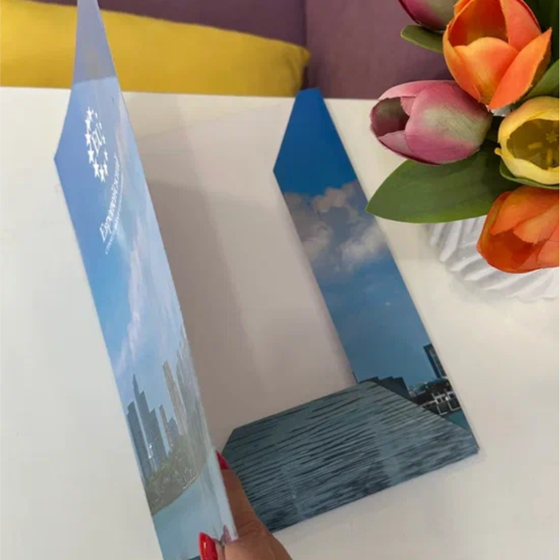 Печать папок онлайн от 100 шт