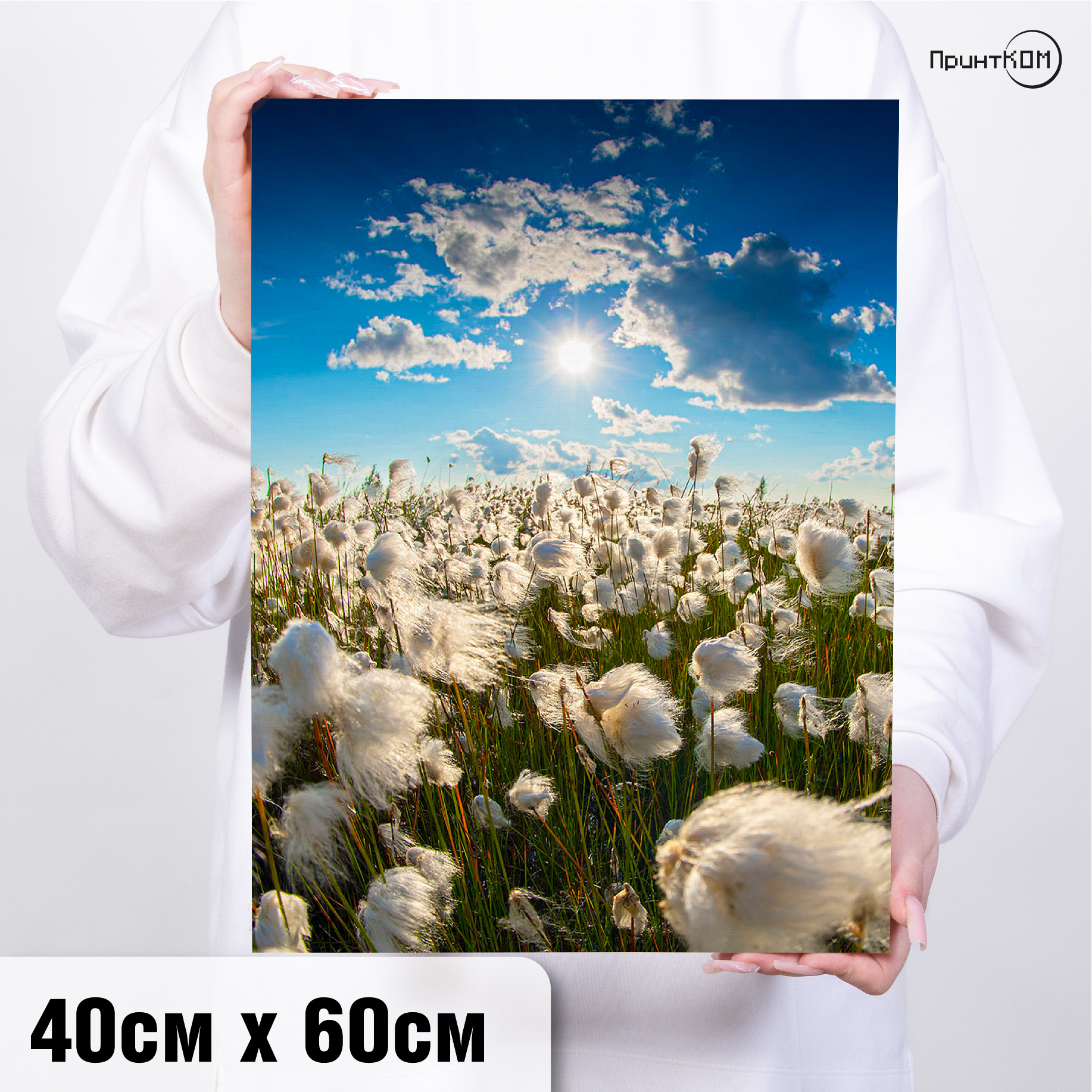 Холст 40х60 см