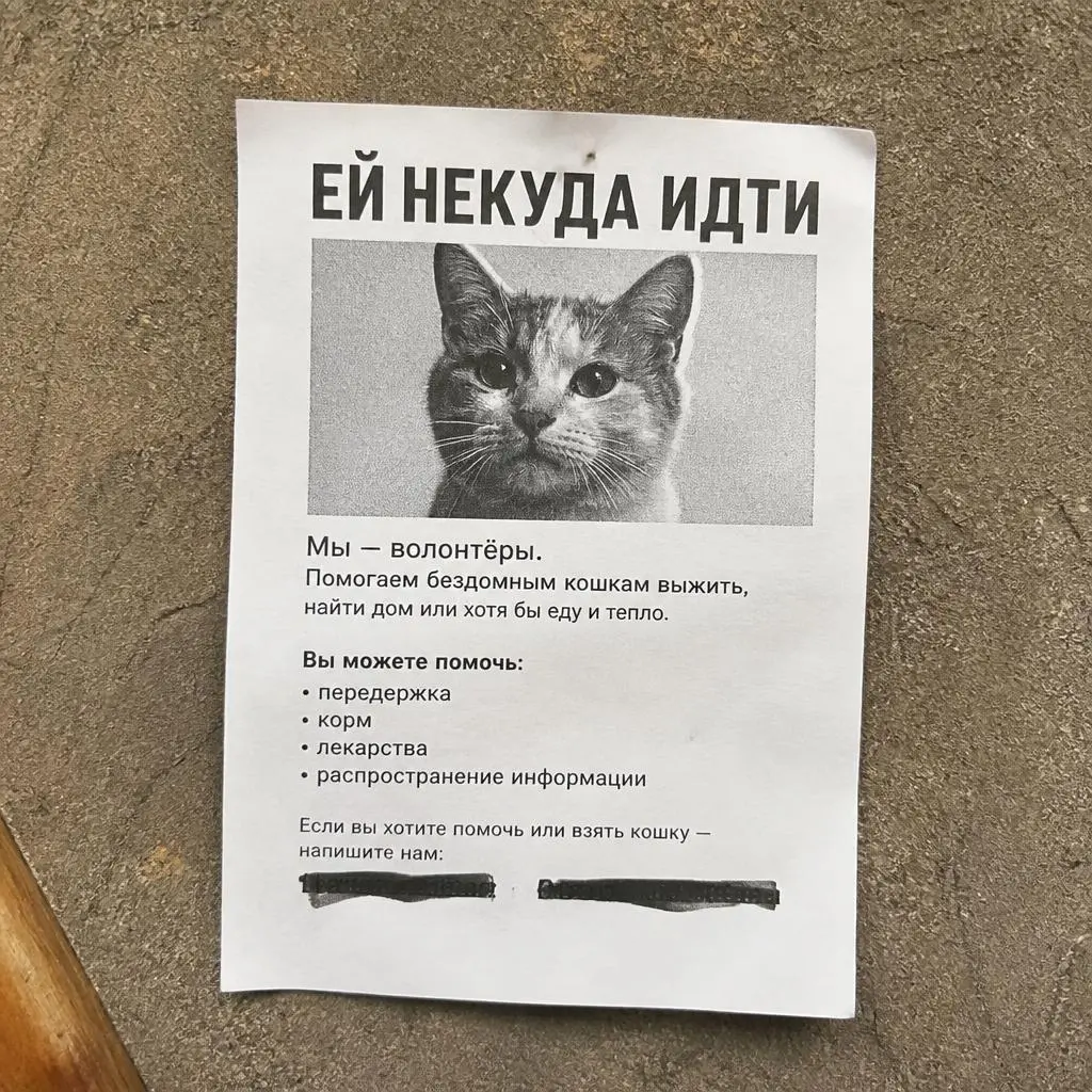 Ризография и печать на ризографе в Омске Ризография и печать на ризографе в Омске