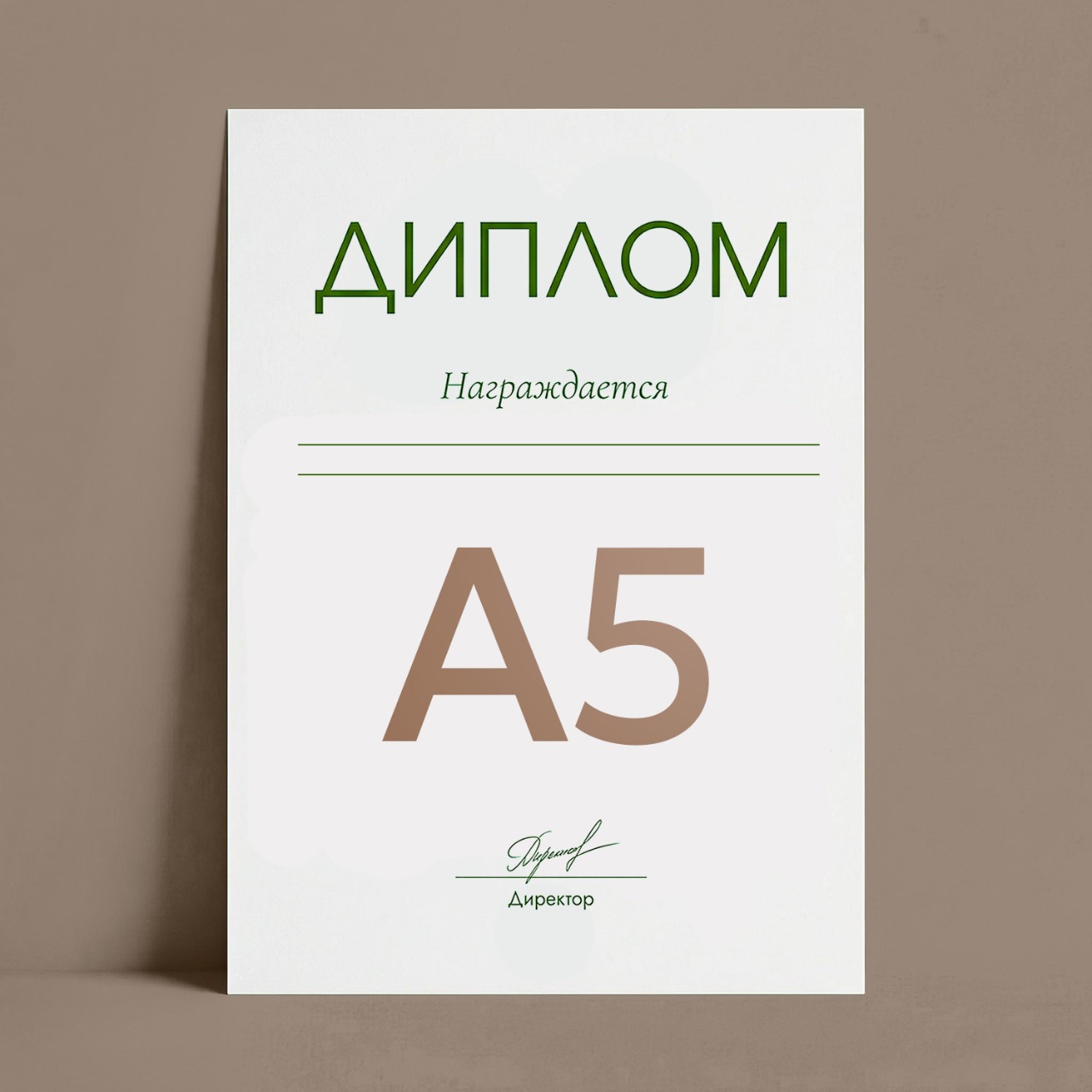 Дипломы А5