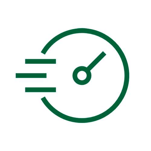 Быстрые сроки