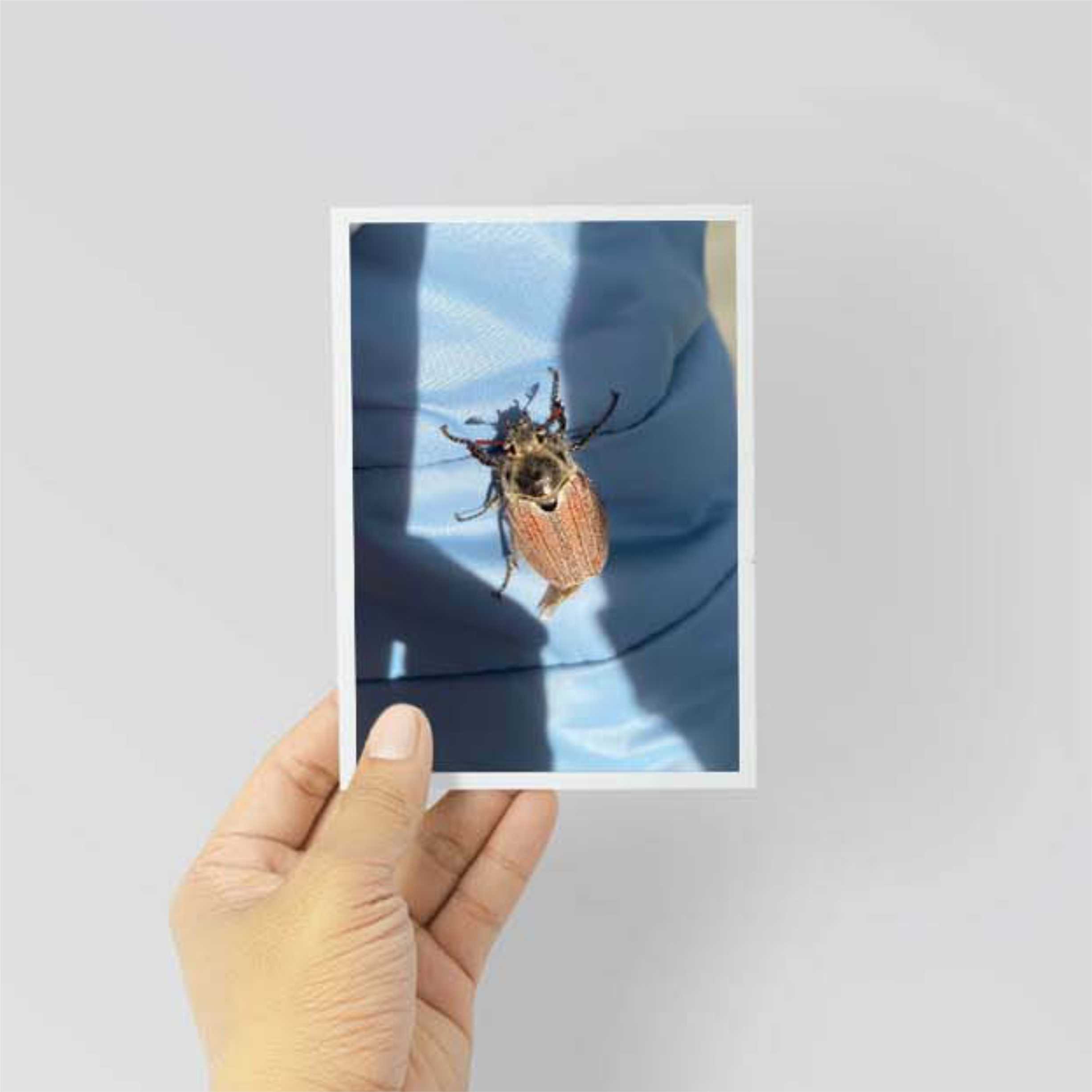 Фотопродукция