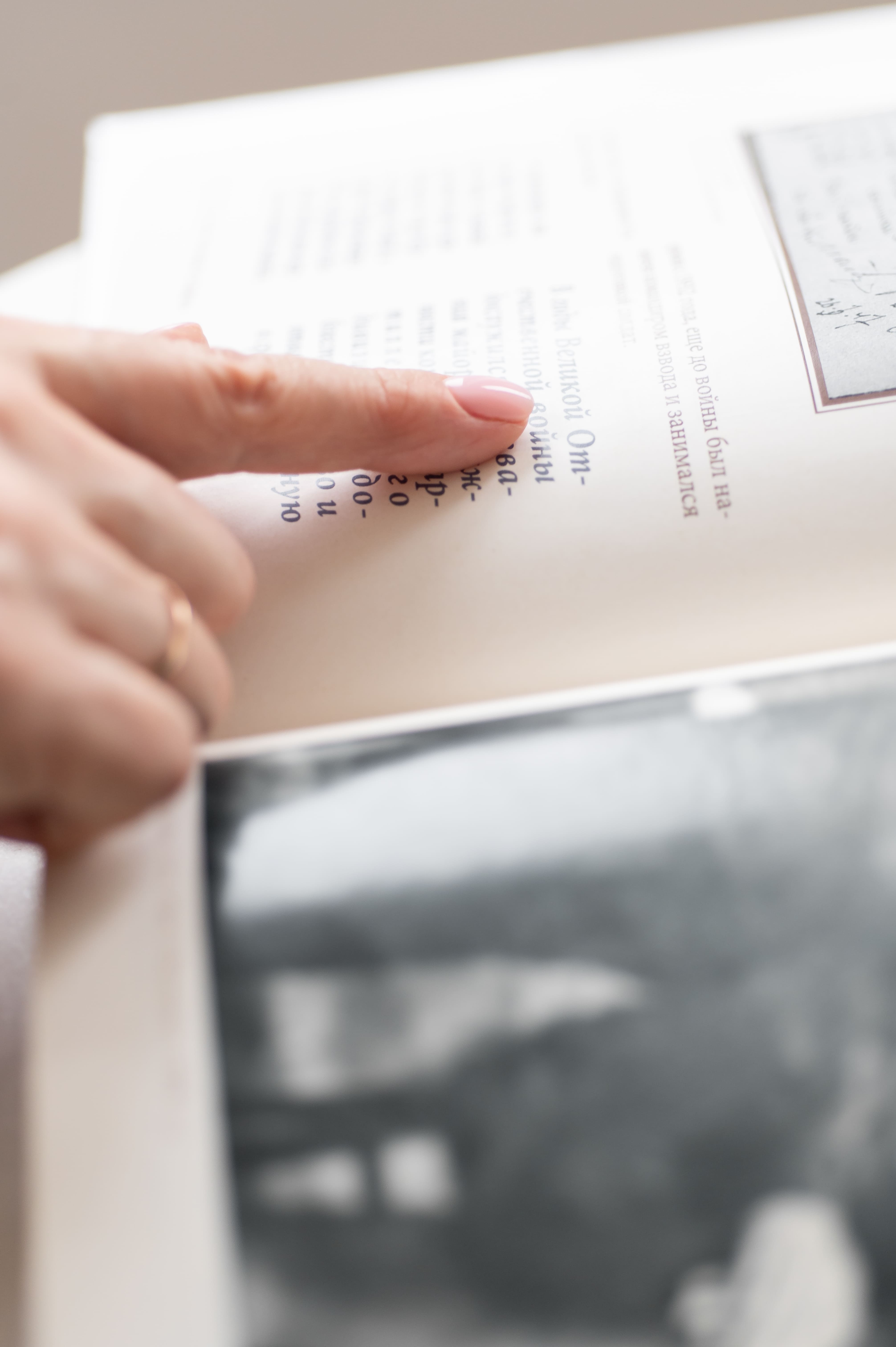 Родословная книга в мягком переплете с печатью (недорогой формат)