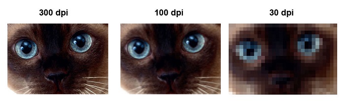 вид растрового изображения в зависимости от разрешения