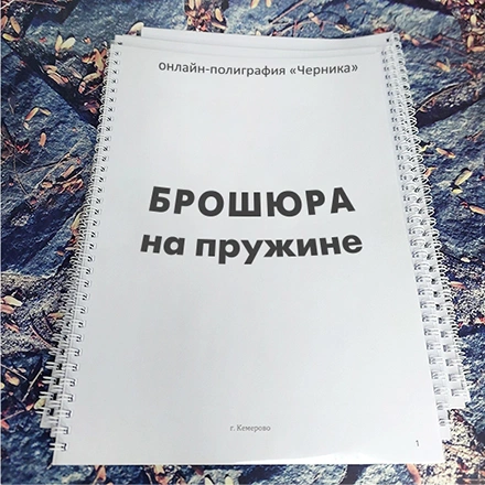 Брошюра на пружине А4