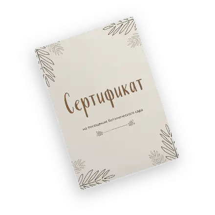 Печать сертификатов в типографии 